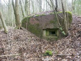 Ligne Maginot - KAPELLENHOFF 1 (AVANT POSTE) - (Blockhaus pour arme infanterie) - Vue de l'un des créneaux