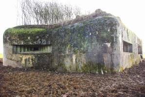 Ligne Maginot - MISSLINGEN 1 - (Blockhaus pour canon) - Blockhaus dégagé de toute sa végétation
