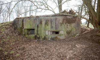 Ligne Maginot - NEUMUHL 3 (AVANT POSTE) - (Blockhaus pour canon) - Les deux créneaux du blockhaus