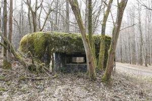 Ligne Maginot - NEUBACH 1 (AVANT POSTE) - (Blockhaus pour canon) - 