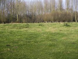 Ligne Maginot - CHARBON - (Blockhaus lourd type STG / STG-FCR - Double) - Emplacement de la base du blockhaus situé dans un pré en bordure de la D 368 - Rue de Bruille.