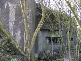 Ligne Maginot - LONG BUHOT - (Casemate d'infanterie - Simple) - 