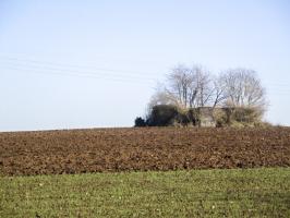 Ligne Maginot - A60 - MIMOSA - (Blockhaus lourd type STG / STG-FCR - Double) - Blockhaus situé dans son environnement.