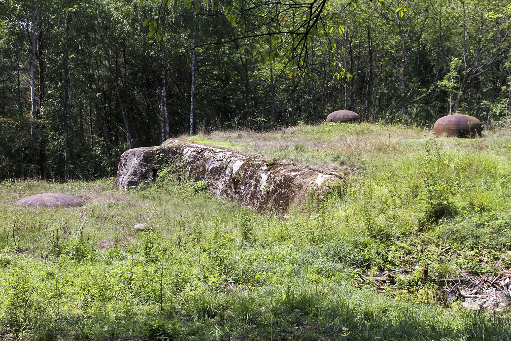 Ligne Maginot - SIMSERHOF - (Ouvrage d'artillerie) - Bloc 3
Le bloc après dégagement et nettoyage en 2014 - JOLAS, Jean-Michel