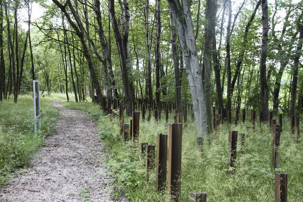 Ligne Maginot - SIMSERHOF - (Ouvrage d'artillerie) - Réseau de rails antichar en avant du demi-ouvrage est, nettoyé et aménagé par un chantier jeunes en 2014 - JOLAS, Jean-Michel