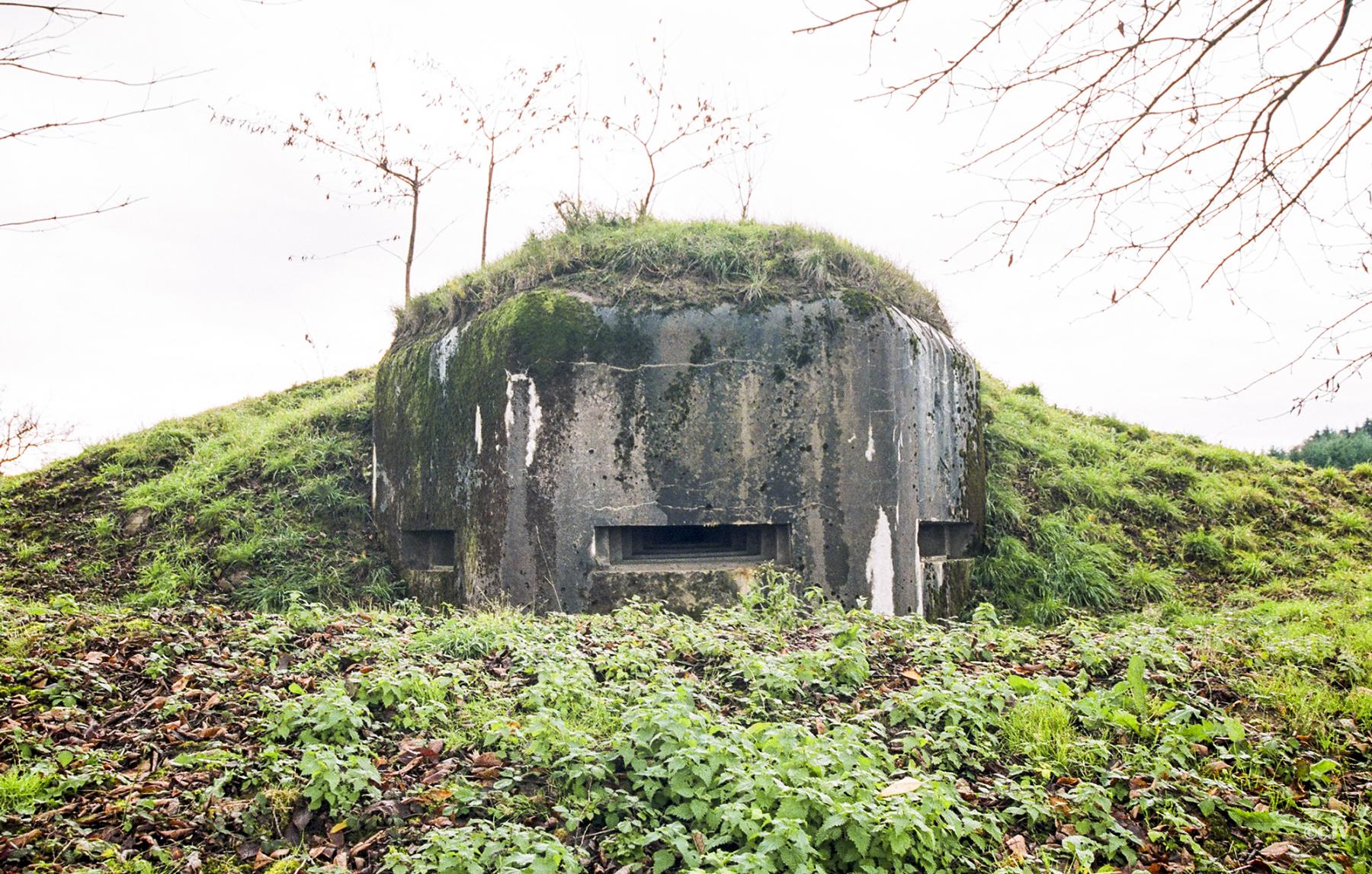 Ligne Maginot - SUD-EST DE HOLBACH - (Observatoire d'infanterie) -  - Lia VERMEULEN