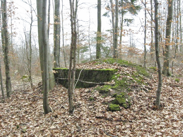 Ligne Maginot - HOLZSCHLAG 1 - (Blockhaus pour arme infanterie) - Vue générale - Christian LENHARD