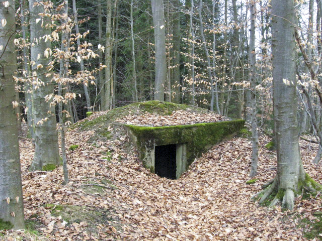Ligne Maginot - HOLZSCHLAG 1 - (Blockhaus pour arme infanterie) - L'accès au blockhaus - Christian LENHARD