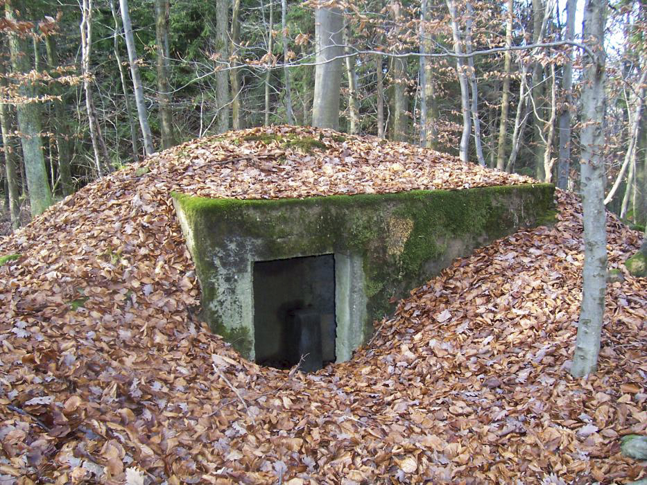 Ligne Maginot - HOLZSCHLAG 1 - (Blockhaus pour arme infanterie) -  - JM57