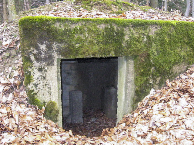 Ligne Maginot - HOLZSCHLAG 1 - (Blockhaus pour arme infanterie) - L'entrée - Christian LENHARD