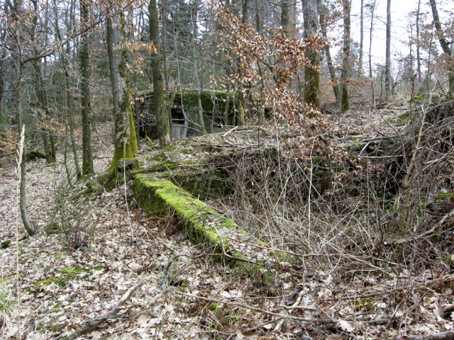 Ligne Maginot - HOLZSCHLAG 2 - (Cuve pour canon) - A l'arrière plan le blockhaus pour canon de 47 de marine - Christian LENHARD