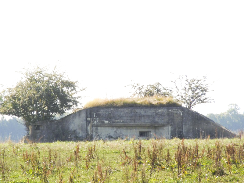 Ligne Maginot - JUDENHOF 1 (Blockhaus pour arme infanterie) - Vue générale - JM57