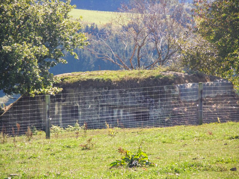 Ligne Maginot - JUDENHOF 2 (Blockhaus pour canon) - Vue générale - JM57