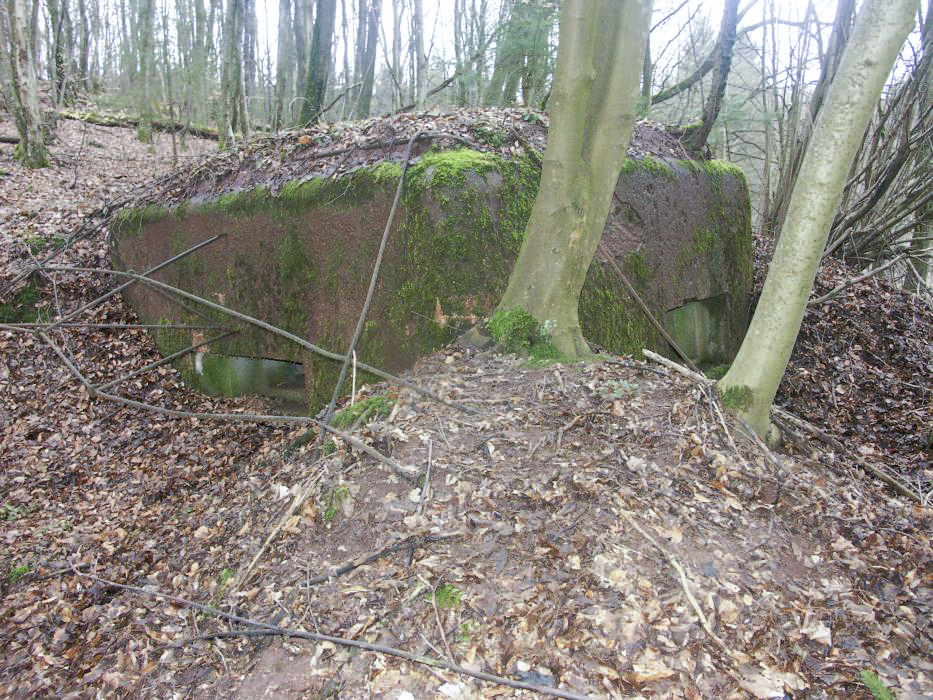 Ligne Maginot - KAPELLENHOFF 1 (AVANT POSTE) - (Blockhaus pour arme infanterie) - Vue d'ensemble du blockhaus - Pascal LAMBERT