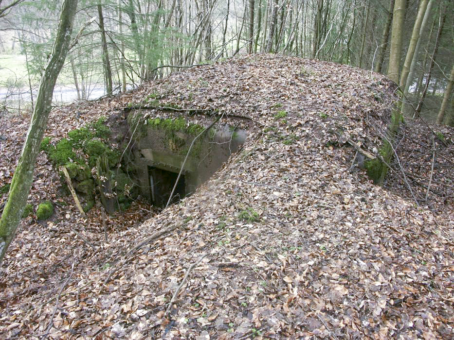 Ligne Maginot - KAPELLENHOFF 1 (AVANT POSTE) - (Blockhaus pour arme infanterie) - Vue d'ensemble du blockhaus - Pascal LAMBERT