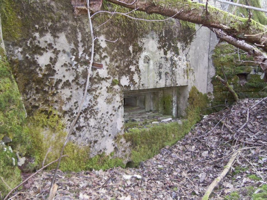 Ligne Maginot - LOHTHAL 2 - (Blockhaus pour canon) - Premier créneau - JM57