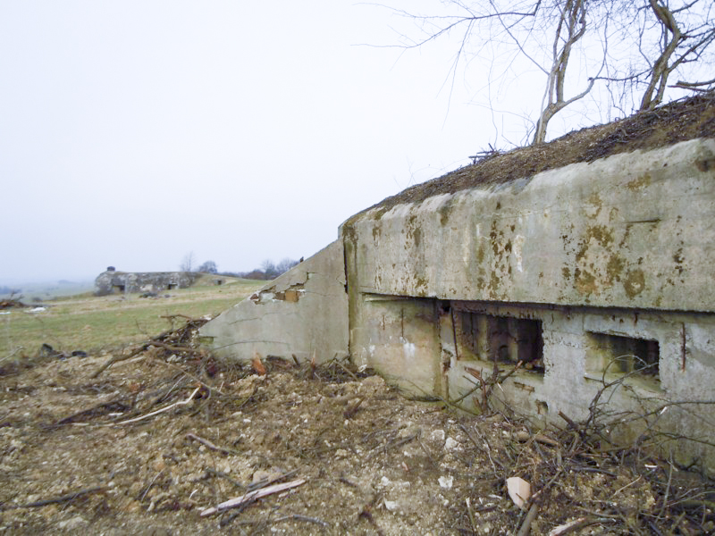 Ligne Maginot - Lose1 - Vue sur la casemate du Seelberg - JM57