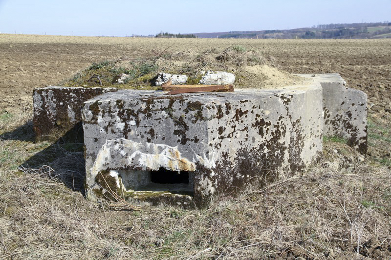 Ligne Maginot - LOSE 3 - (Blockhaus pour arme infanterie) -  - Alain Perouffe