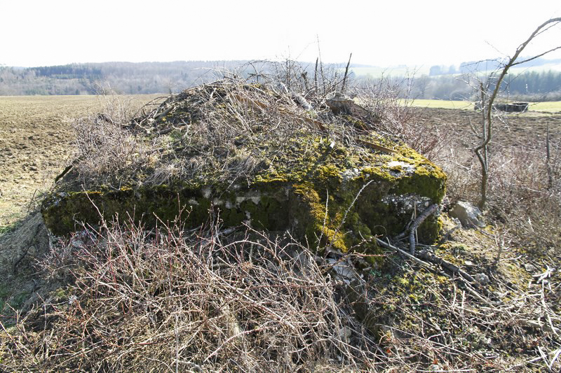 Ligne Maginot - LOSE 4 - (Blockhaus pour arme infanterie) -  - Alain Perouffe