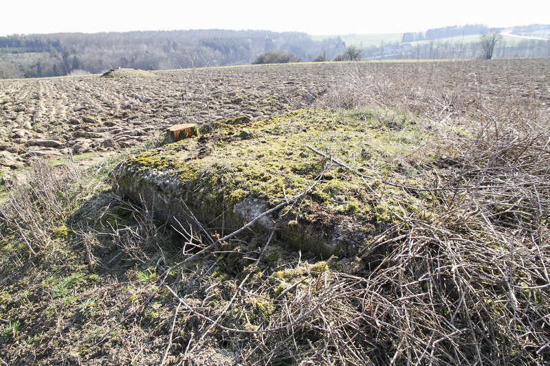 Ligne Maginot - LOSE 5 - (Blockhaus pour arme infanterie) -  - Alain Perouffe