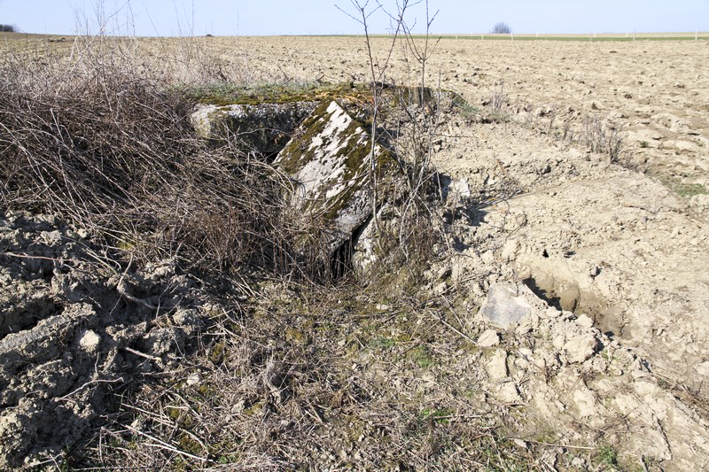 Ligne Maginot - LOSE 5 - (Blockhaus pour arme infanterie) -  - Alain Perouffe