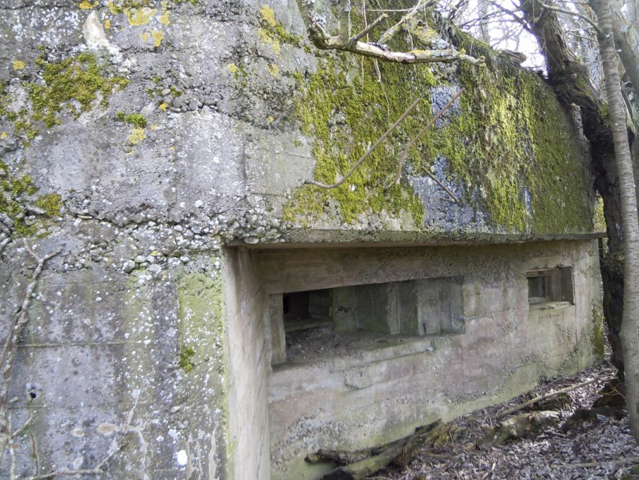Ligne Maginot - LOSE 7 (Blockhaus pour arme infanterie) -  - jm57