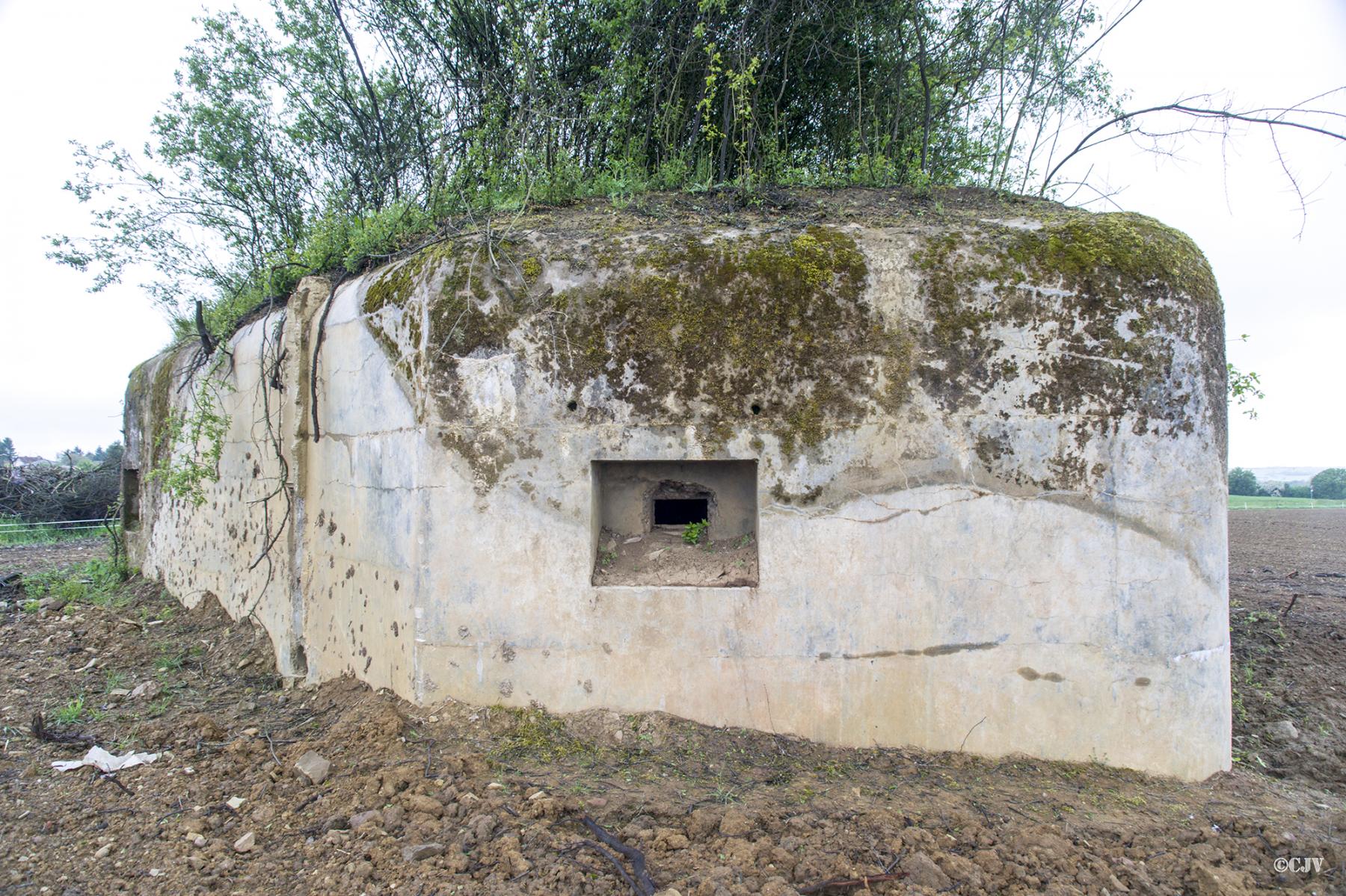 Ligne Maginot - MISSLINGEN 1 - (Blockhaus pour canon) -  - Lia VERMEULEN