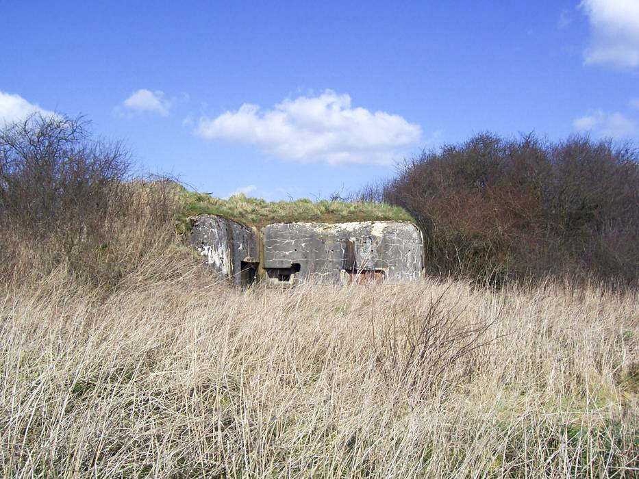 Ligne Maginot - MISSLINGEN 1 - (Blockhaus pour canon) -  - JM57