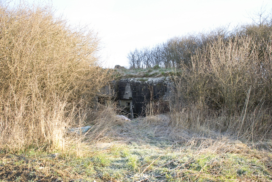 Ligne Maginot - MISSLINGEN 1 - (Blockhaus pour canon) - La façade arrière - Denys