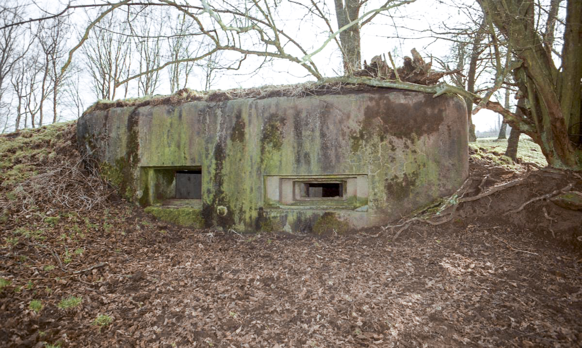 Ligne Maginot - NEUMUHL 3 (AVANT POSTE) - (Blockhaus pour canon) - Les deux créneaux du blockhaus - HEMMERT Valentin