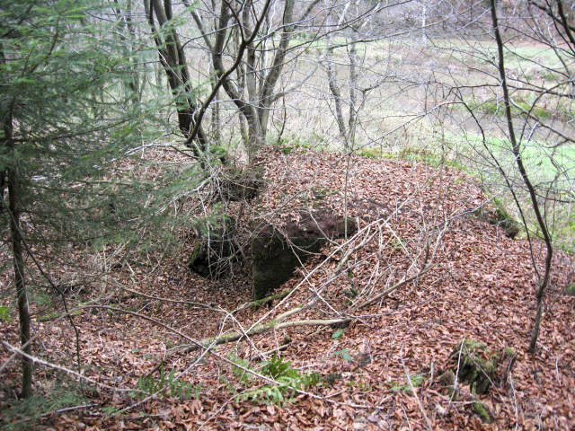 Ligne Maginot - RUISSEAU DU GROSSTHAL 1 - (Blockhaus pour arme infanterie) - Façade arrière - Christian LENHARD