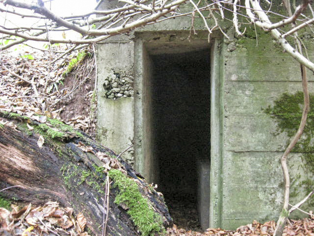 Ligne Maginot - RUISSEAU DU GROSSTHAL 1 - (Blockhaus pour arme infanterie) - L'entrée - Christian LENHARD