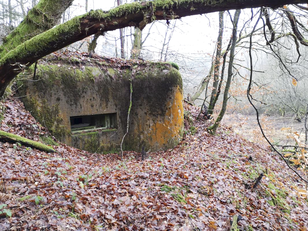 Ligne Maginot - RUISSEAU DU GROSSTHAL 2 - (Blockhaus pour arme infanterie) -  - A.F.V.N. Association des Amis de la Fortification des Vosges du Nord