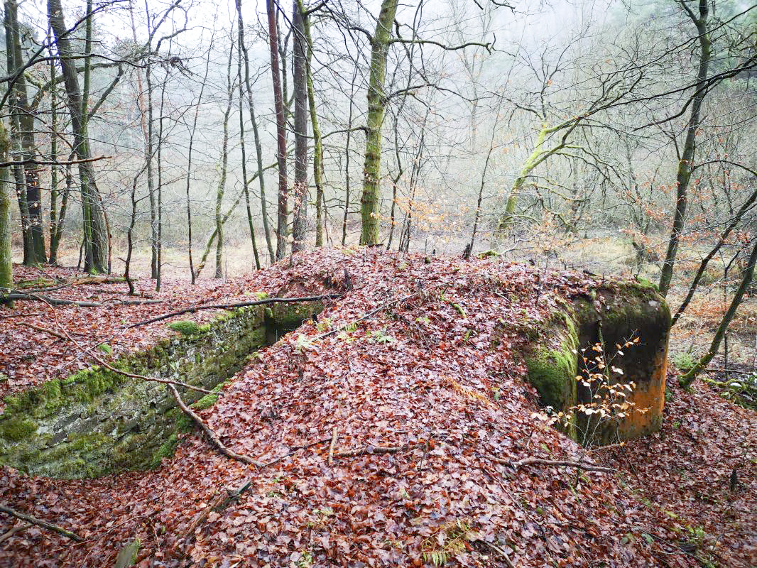 Ligne Maginot - RUISSEAU DU GROSSTHAL 2 - (Blockhaus pour arme infanterie) -  - A.F.V.N. Association des Amis de la Fortification des Vosges du Nord