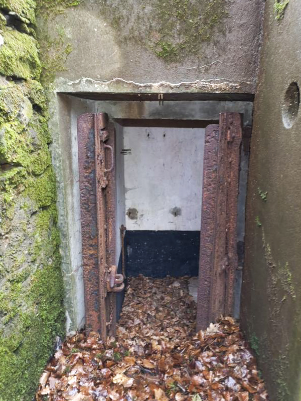 Ligne Maginot - RUISSEAU DU GROSSTHAL 2 - (Blockhaus pour arme infanterie) -  - A.F.V.N. Association des Amis de la Fortification des Vosges du Nord