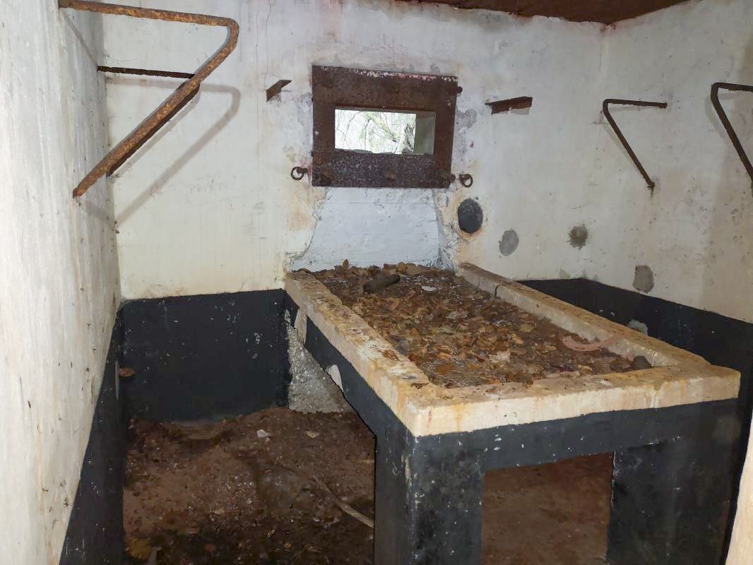 Ligne Maginot - RUISSEAU DU GROSSTHAL 2 - (Blockhaus pour arme infanterie) -  - A.F.V.N. Association des Amis de la Fortification des Vosges du Nord
