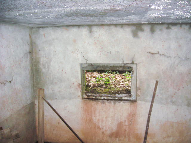 Ligne Maginot - SCHWANGERBACH 1 - (Blockhaus pour canon) -  - Christian LENHARD