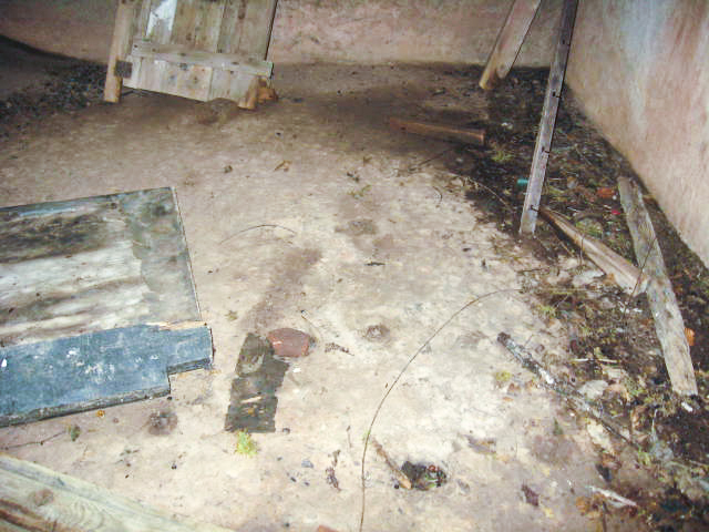 Ligne Maginot - SCHWANGERBACH 1 - (Blockhaus pour canon) -  - Christian LENHARD