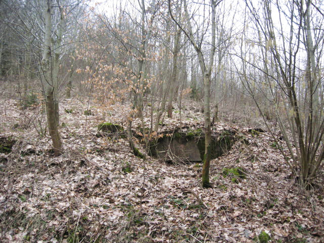 Ligne Maginot - SCHWANGERBACH 2 - (Blockhaus pour arme infanterie) - Vue générale - Christian LENHARD