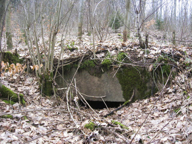 Ligne Maginot - SCHWANGERBACH 2 - (Blockhaus pour arme infanterie) - Façade de tir - Christian LENHARD