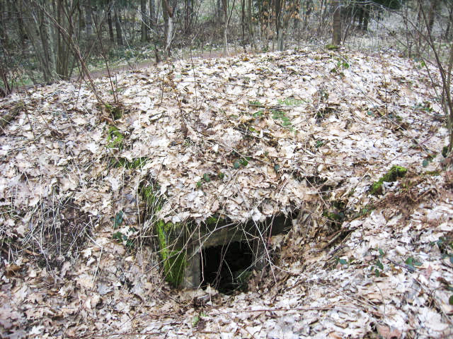 Ligne Maginot - SCHWANGERBACH 2 - (Blockhaus pour arme infanterie) - Façade arrière - Christian LENHARD