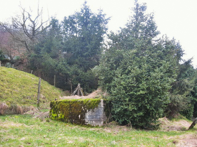 Ligne Maginot - SCHWANGERBACH 7 - (Blockhaus pour arme infanterie) - Vue générale - Christian LENHARD