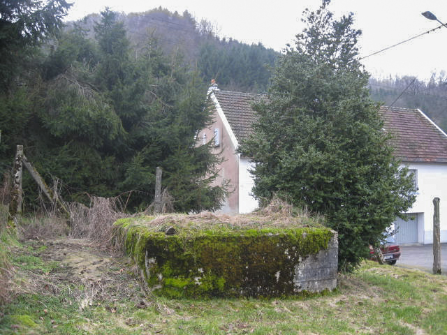 Ligne Maginot - SCHWANGERBACH 7 - (Blockhaus pour arme infanterie) - Vue générale - Christian LENHARD