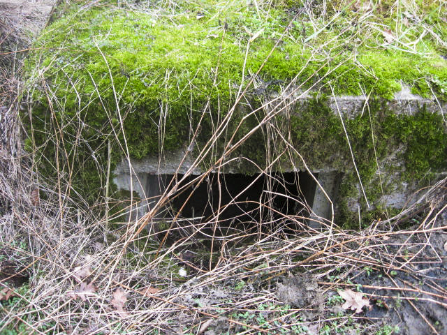Ligne Maginot - SCHWANGERBACH 7 - (Blockhaus pour arme infanterie) - Façade de tir - Christian LENHARD