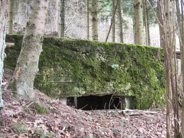 Ligne Maginot - SCHWANGERBACH 5 - (Blockhaus pour canon) -  - Christian LENHARD
