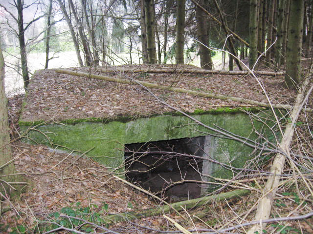 Ligne Maginot - SCHWANGERBACH 5 - (Blockhaus pour canon) -  - Christian LENHARD