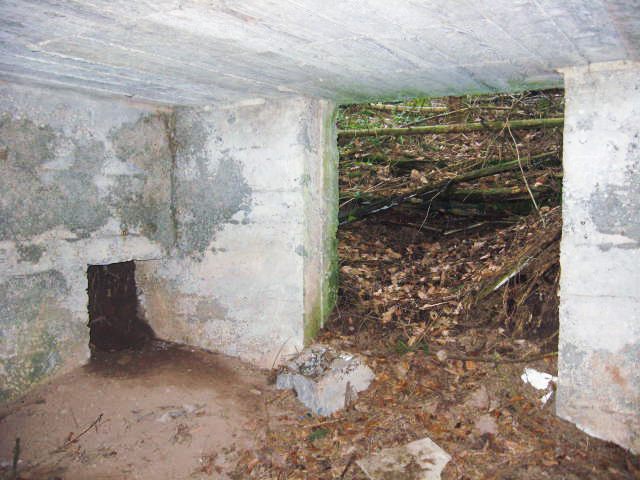 Ligne Maginot - SCHWANGERBACH 5 - (Blockhaus pour canon) - Les deux entrées - Christian LENHARD