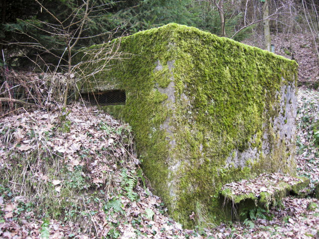Ligne Maginot - SCHWANGERBACH 4 - (Observatoire d'infanterie) -  - Christian LENHARD