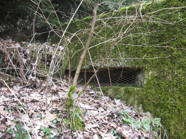 Ligne Maginot - SCHWANGERBACH 4 - (Observatoire d'infanterie) -  - Christian LENHARD