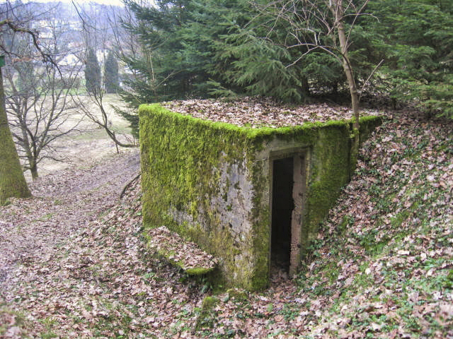 Ligne Maginot - SCHWANGERBACH 4 - (Observatoire d'infanterie) -  - Christian LENHARD